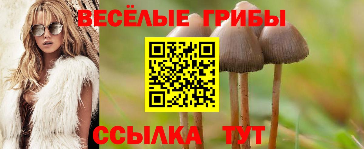 Тобольск  Псилоцибиновые грибы GOLDEN TEACHER  Галлюциногенные грибы мицелий  Вход с VPN 